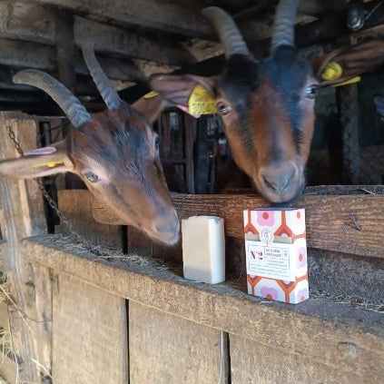 Savon N°2 - Lait de chèvre, Argile blanche