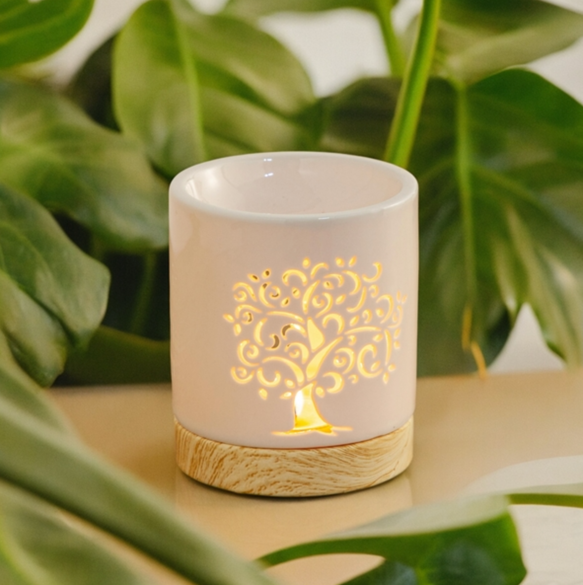 Brûleur à fondants